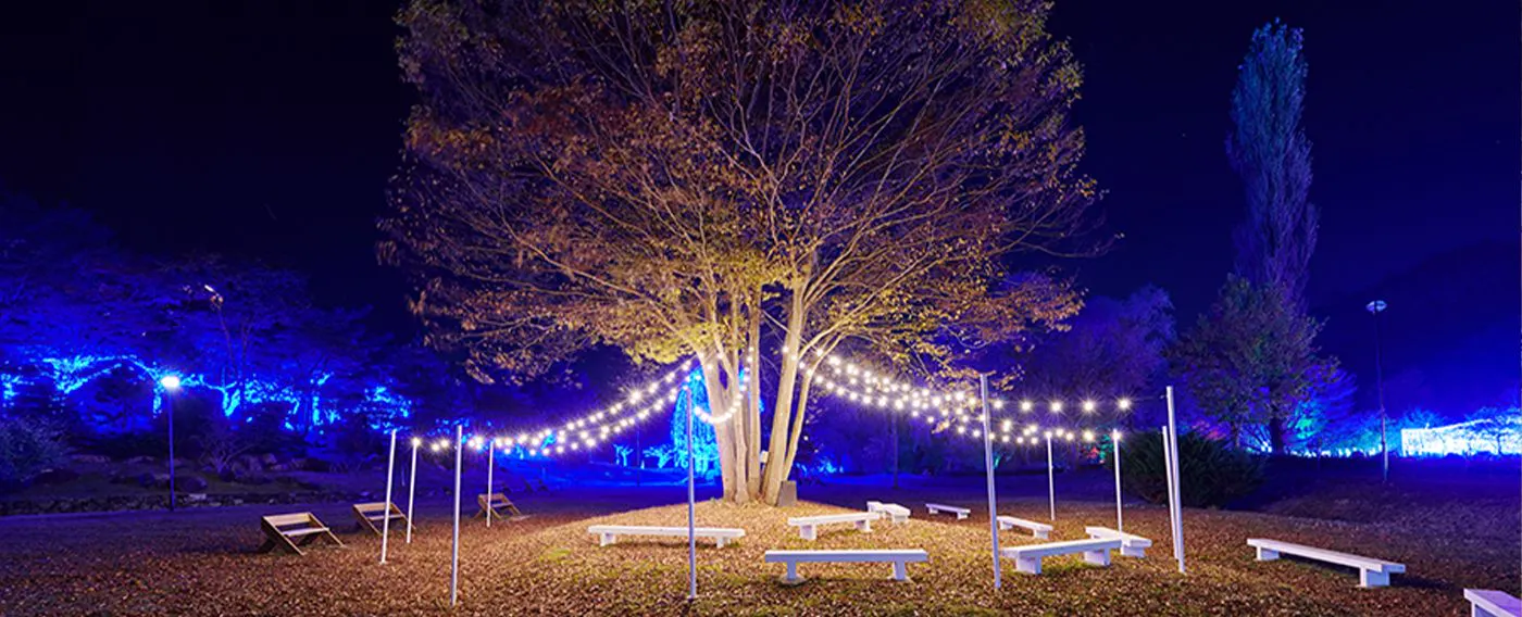 ซินเนสทีเซีย ฮิลส์