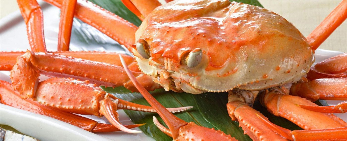 Ketam Matsuba