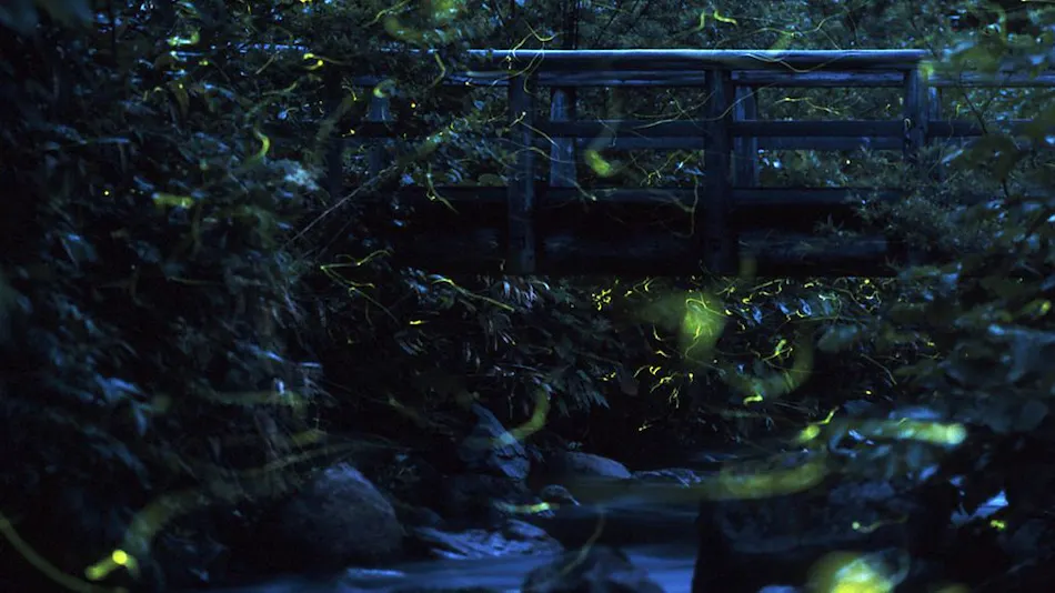 Shiga Kogen Ishi no Yu Onsen Ishi no Yu Lodge