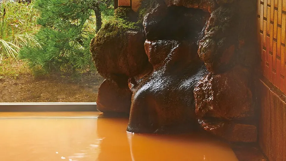 Tengu Onsen Asama Sanso