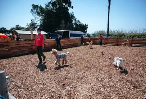 THE DOG DEPT GARDEN RESORT-安房白浜-