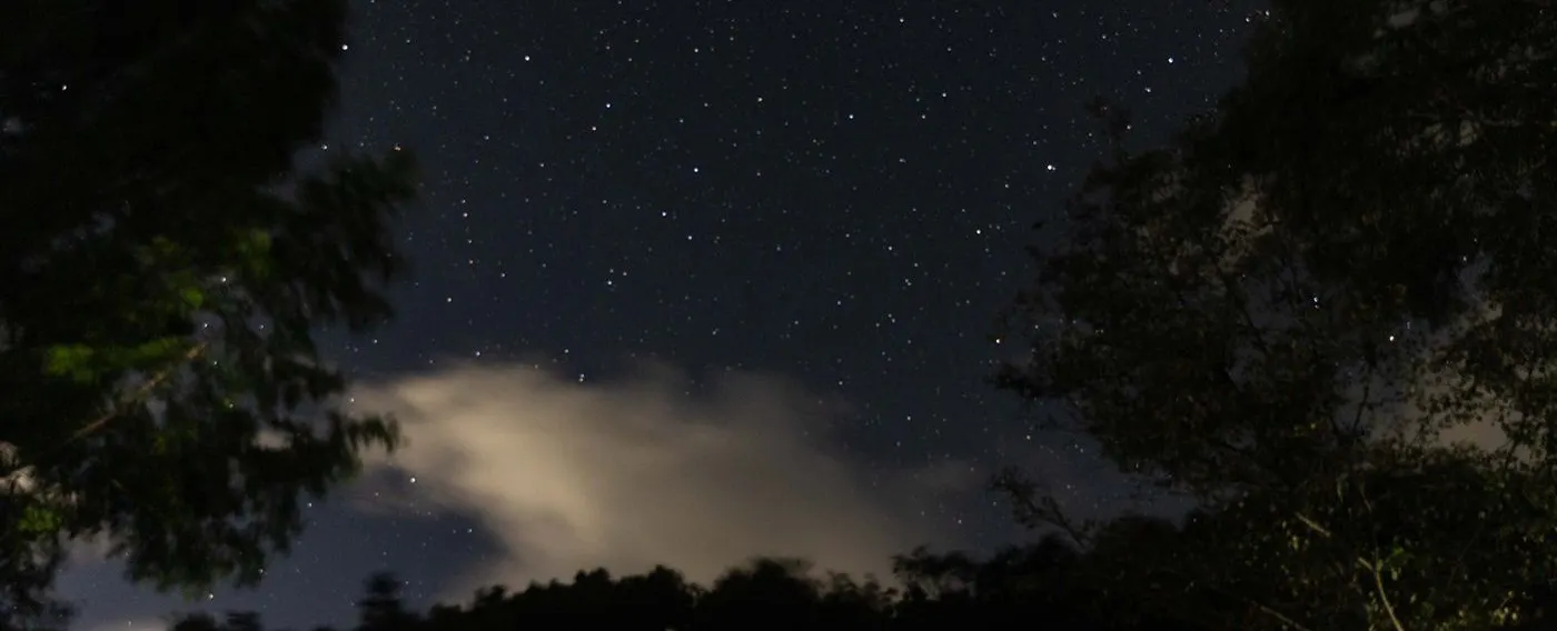 ท้องฟ้าที่เต็มไปด้วยดวงดาว