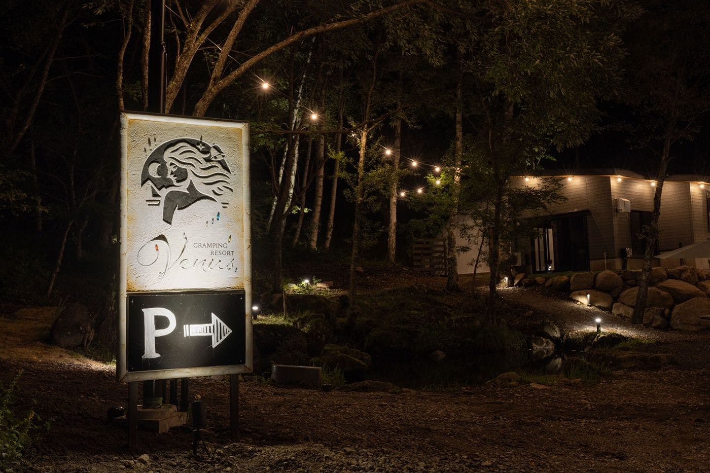 ท้องฟ้าที่เต็มไปด้วยดวงดาว