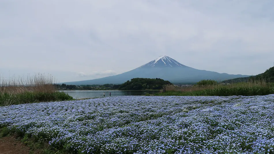 Kura no Yado Matsuya Kawaguchiko