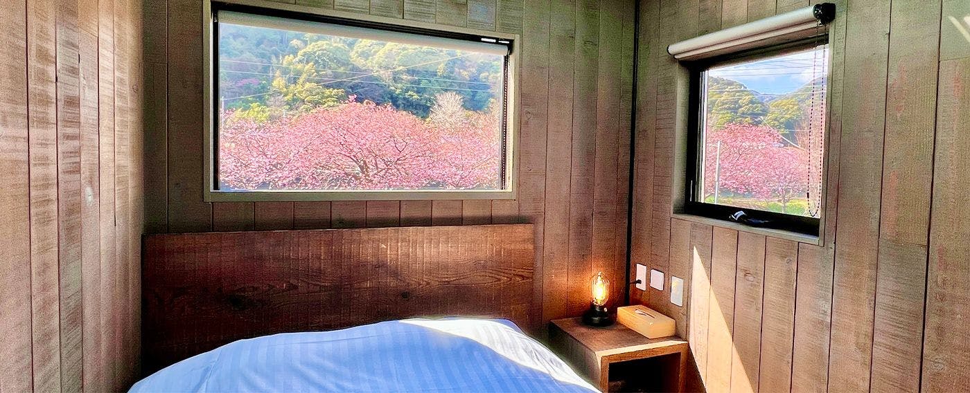 Pemandangan dari kamar tamu