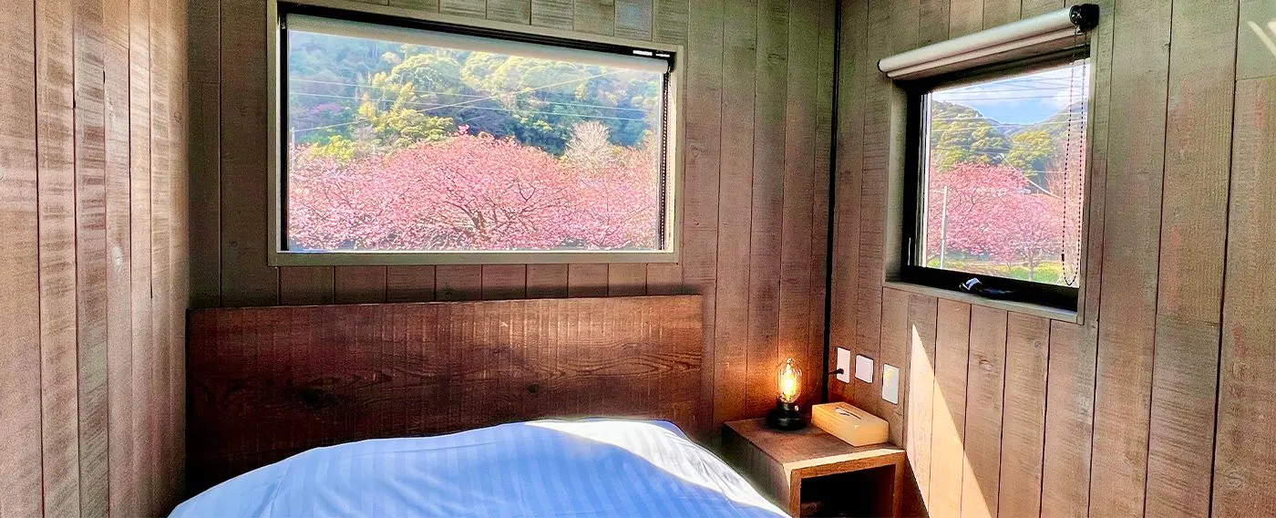 Pemandangan dari kamar tamu