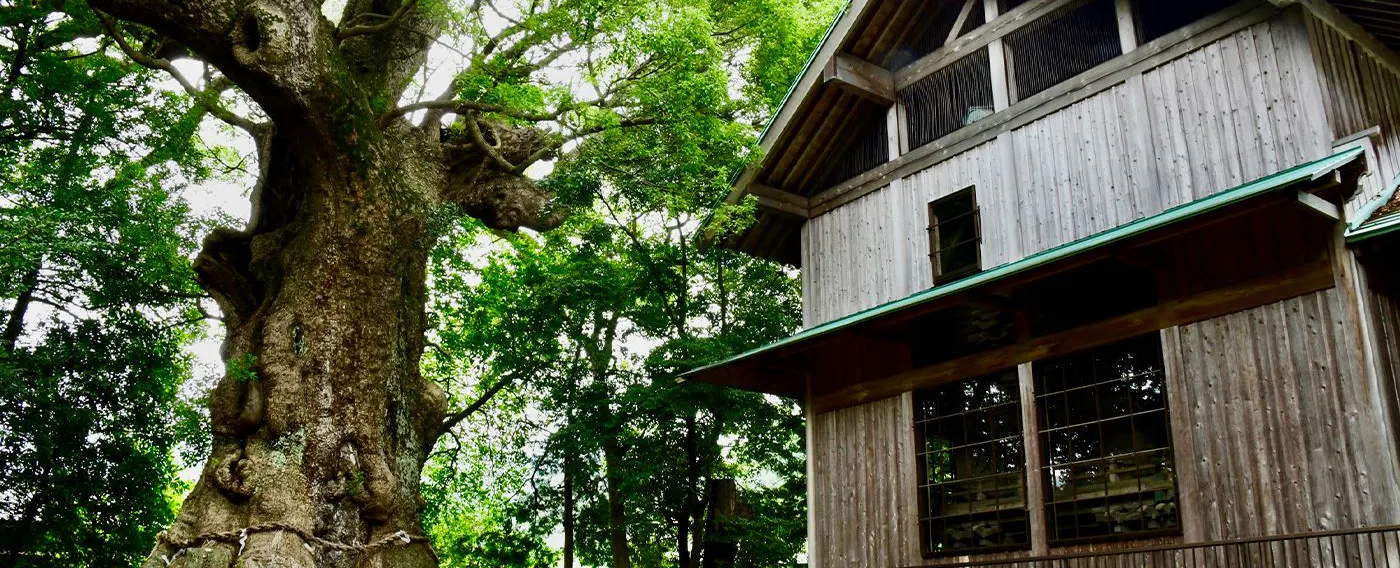 Kuil Kawazu Kinomiya