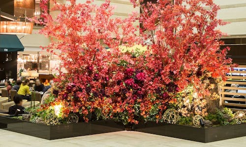 京都市上京区のおすすめホテル 旅館 選 宿泊予約は 一休 Com