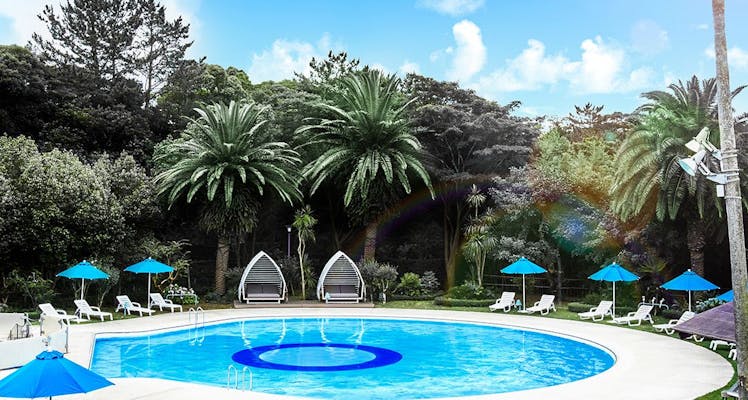 東京ディズニーリゾート R の一人旅におすすめのホテル 旅館 選 宿泊予約は 一休 Com 東京ディズニーリゾート R の一人旅におすすめのホテル 旅館 選 宿泊予約は 一休 Com