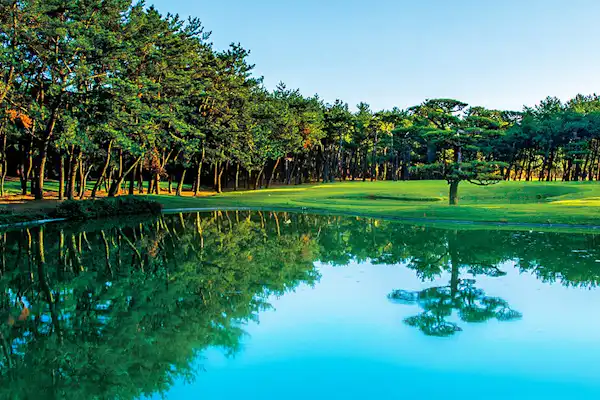 สระว่ายน้ำ