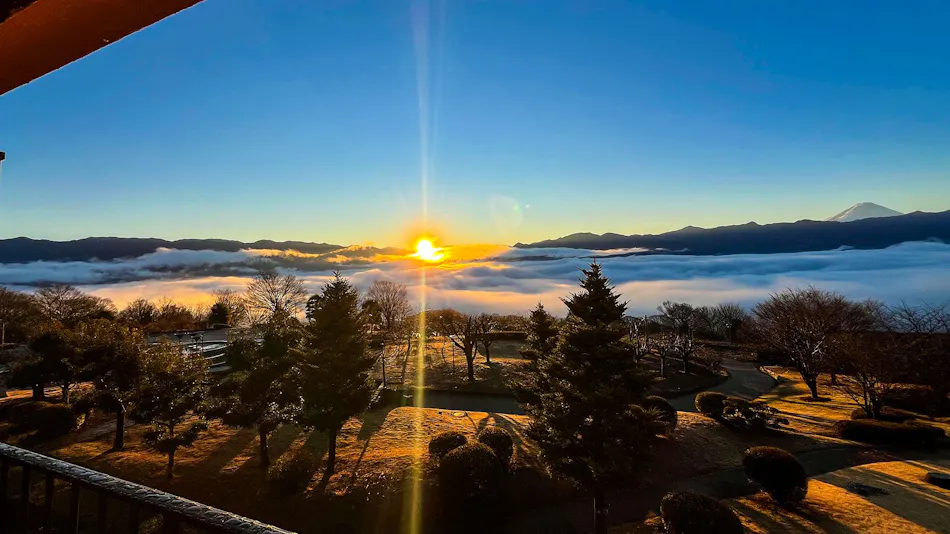 Fruit Park Fujiya Hotel