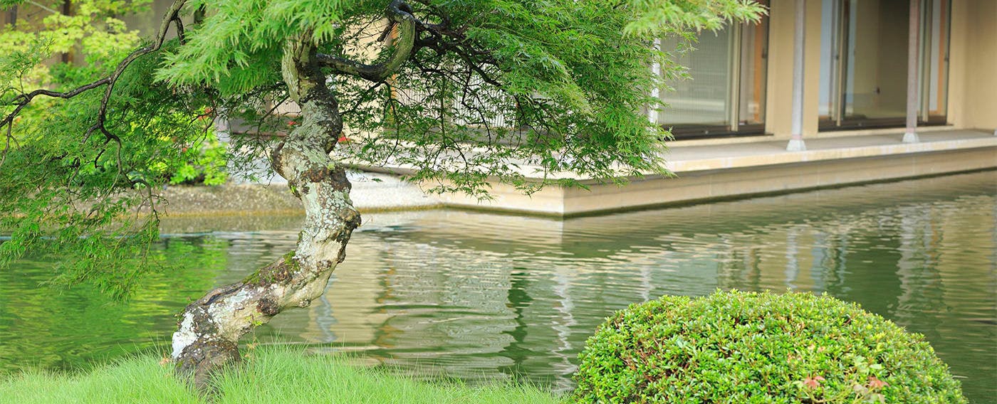 白玉の湯　華鳳