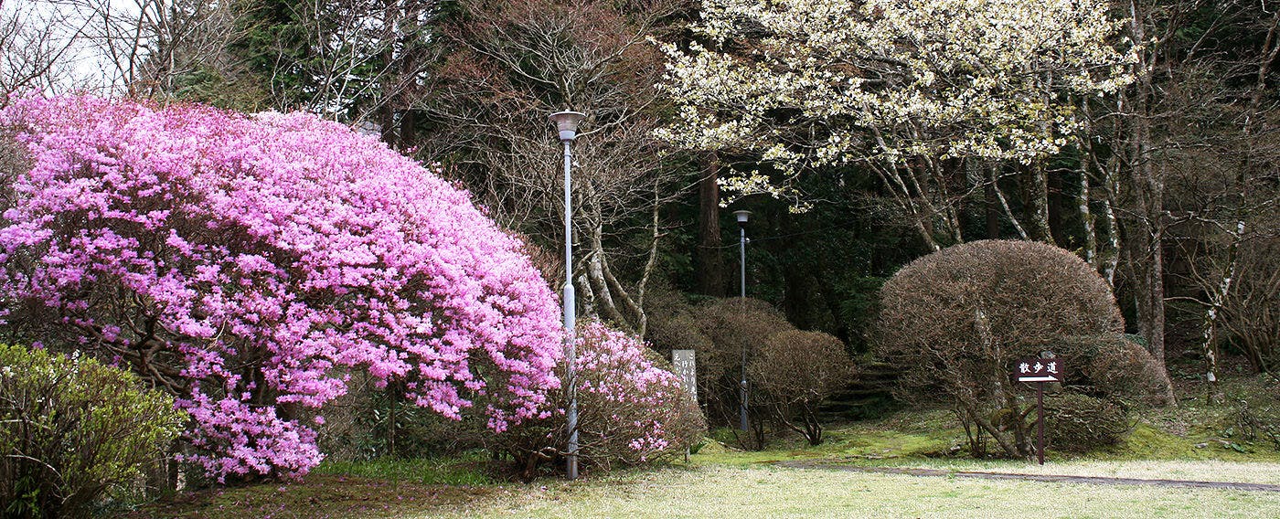 仙郷楼