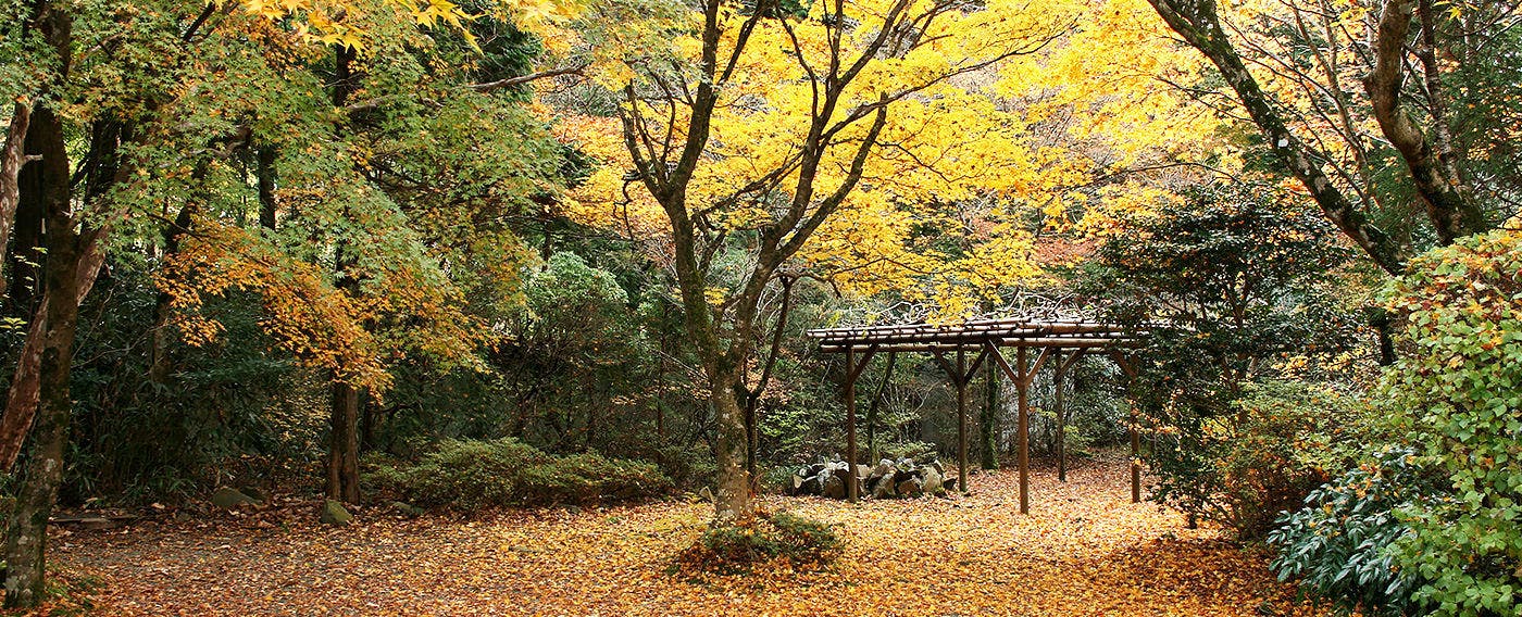 仙郷楼