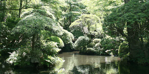 仙郷楼