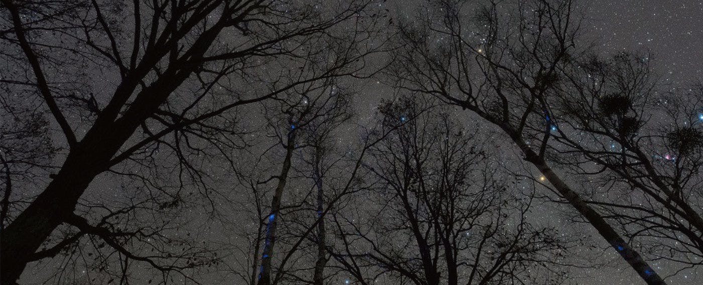 因位於海拔約1,000公尺的山中，才能欣賞到滿天延伸至視野盡頭的星空！※攝影：成澤廣幸