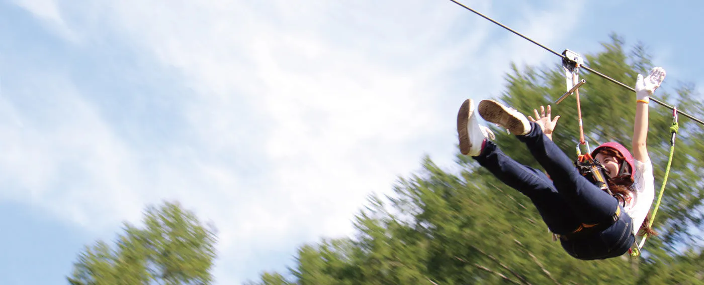 日本最長級!搭乘全長1.3公里(共9條)的滑索,在森林中滑翔吧!