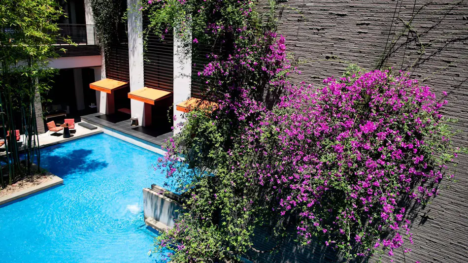 WITH THE STYLE FUKUOKA