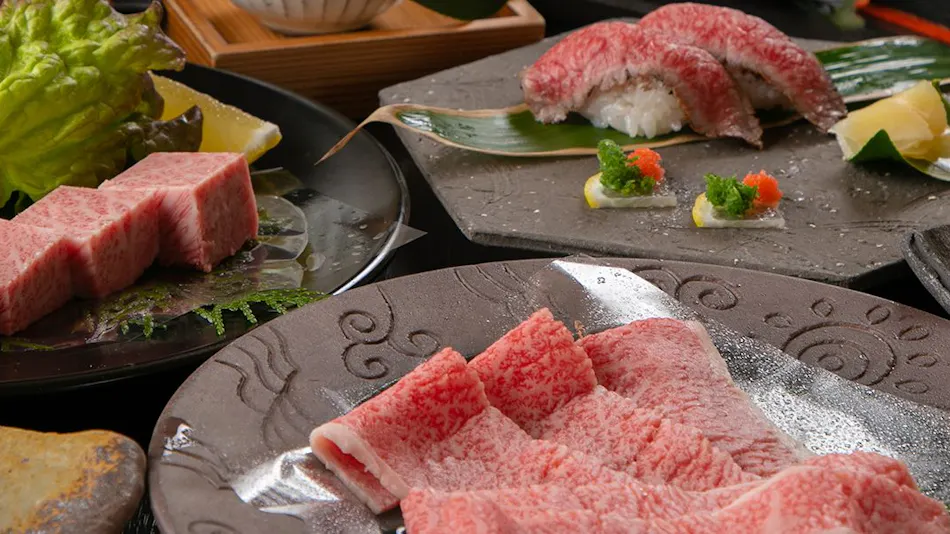 Gero Onsen Kokoro wo Naderu Seijaku Miyako