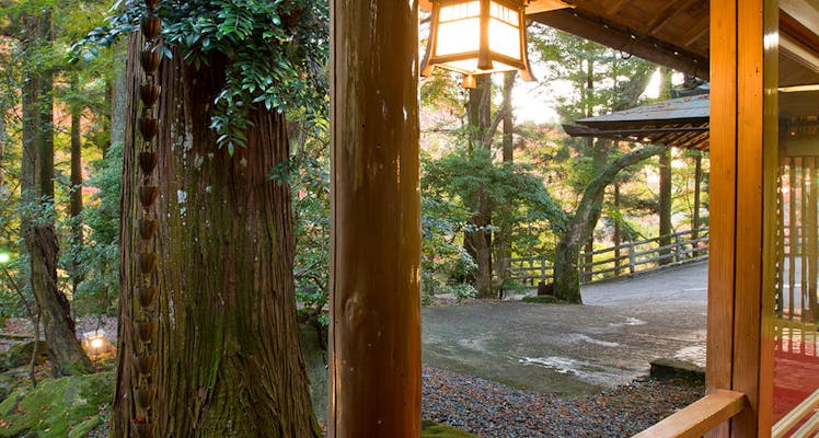 奈良公園に近いホテル 旅館 5選 宿泊予約は 一休 Com 奈良公園に近いホテル 旅館 5選 宿泊予約は 一休 Com