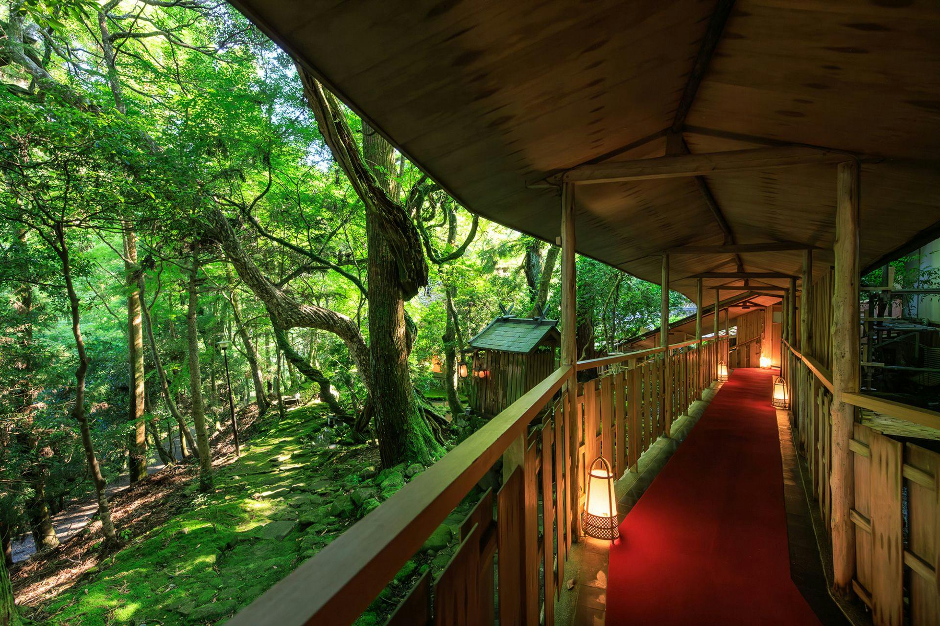 奈良・春日奥山　月日亭