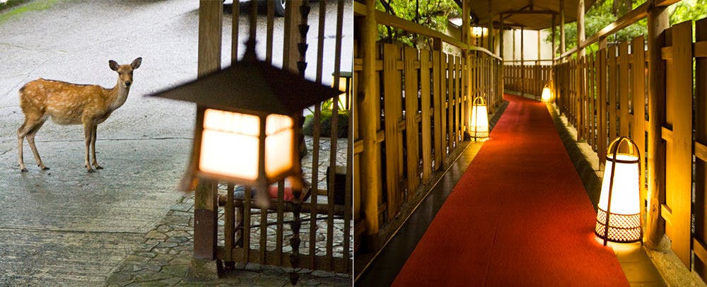 Cuisine Inn for Five Groups a Day - Nara Kasuga Okuyama Tsukihitei