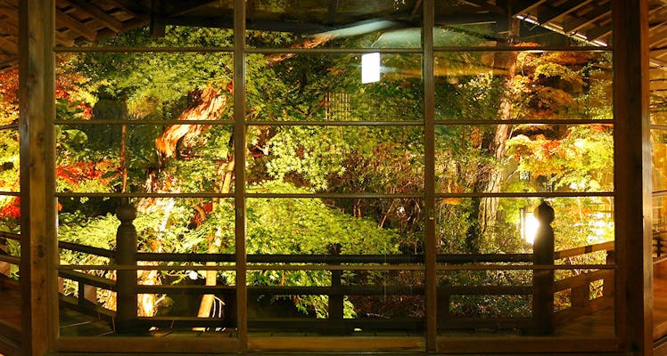 ランキング Top5 修善寺温泉の源泉かけ流しありの ホテル 旅館 宿泊予約は 一休 Com ランキング Top5 修善寺温泉の源泉かけ流しありの ホテル 旅館 宿泊予約は 一休 Com