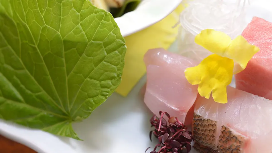 Kaiseki Ryokan Ashikari