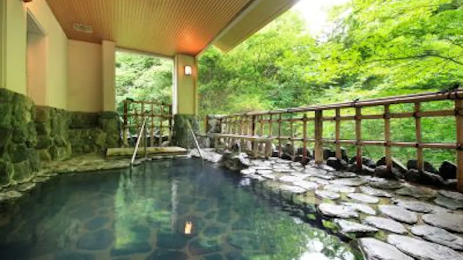 Morioka Tsunagi Onsen Shikitei