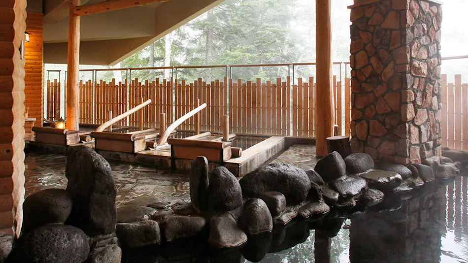 La Vista Daisetsuzan (Kyoritsu Resort)