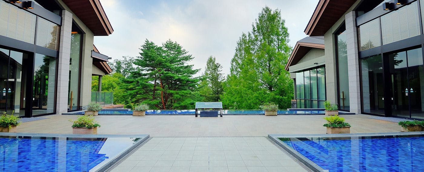 Hutan yang membangkitkan imajinasi, hutan penyembuhan untuk orang dewasa