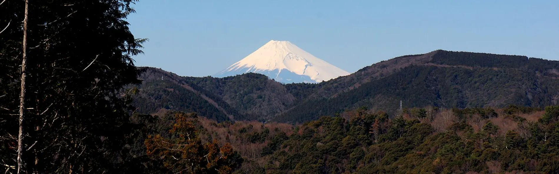東府やResort&Spa-Izu