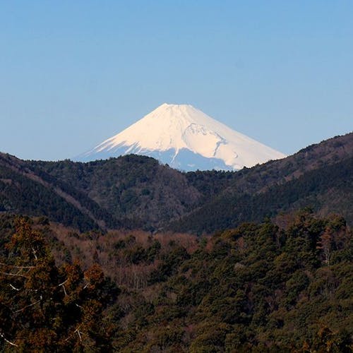 21年最新 箱根 熱海 伊豆 夏休みの家族旅行で売れている宿ランキング 一休 Com 21年最新 箱根 熱海 伊豆 夏休みの家族旅行で売れている宿ランキング 一休 Com