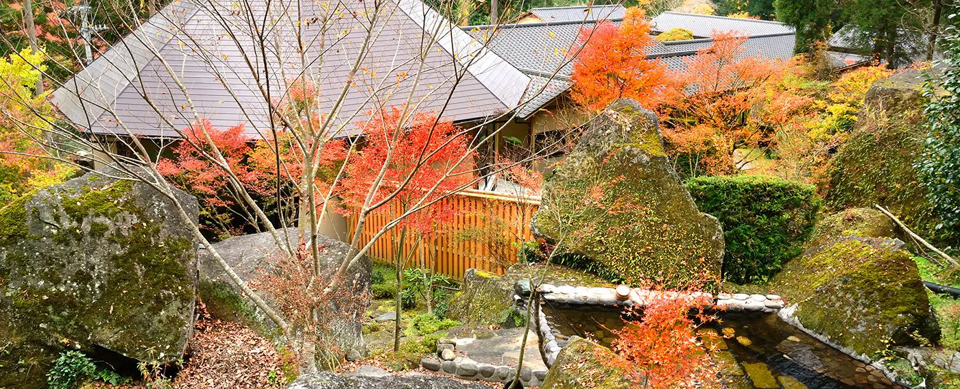 紅葉