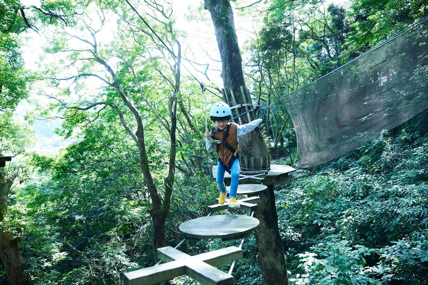 アクティビティ