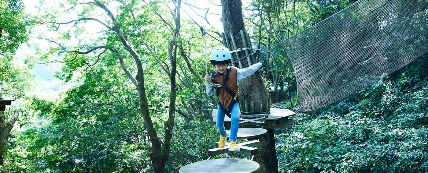 アクティビティ