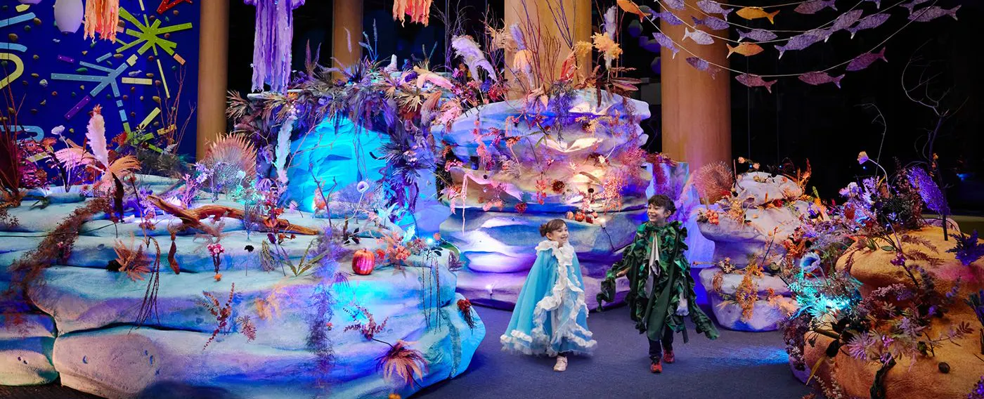 アクティビティ