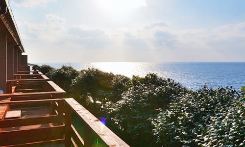 夕食は客室 和歌山 和歌山市内 南紀白浜 のおすすめホテル 旅館 8選 宿泊予約は 一休 Com