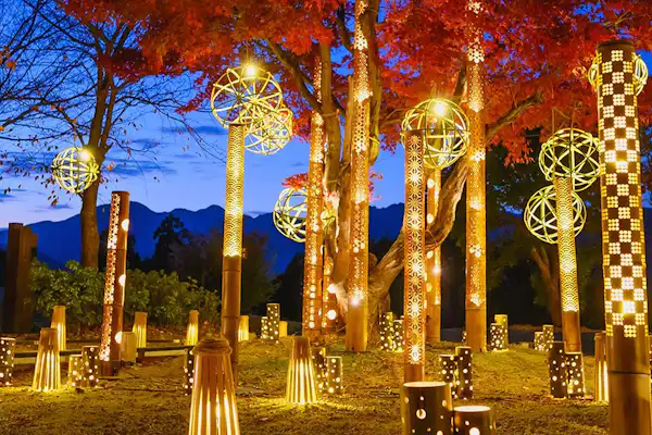 แสงไม้ไผ่