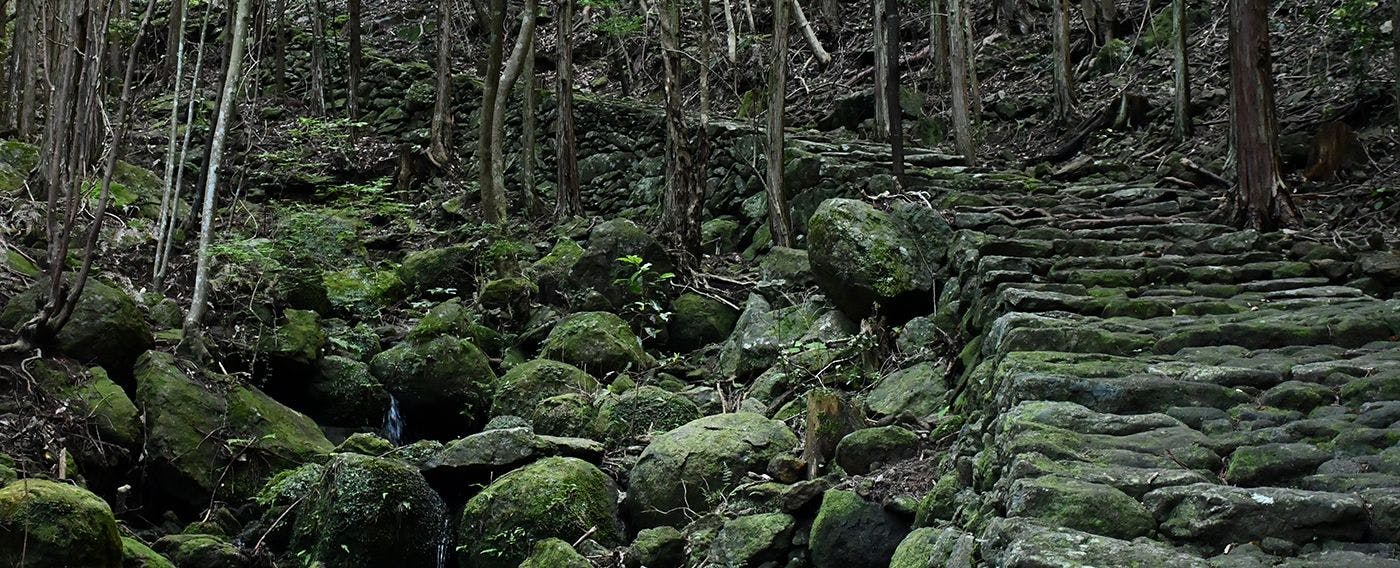 ทัวร์เยี่ยมชม "คุมาโนะโคโดะ - ช่องเขามัตสึโมโตะ" มรดกโลก