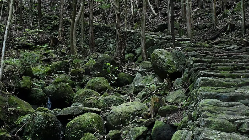 World Heritage Resort Kumano Club