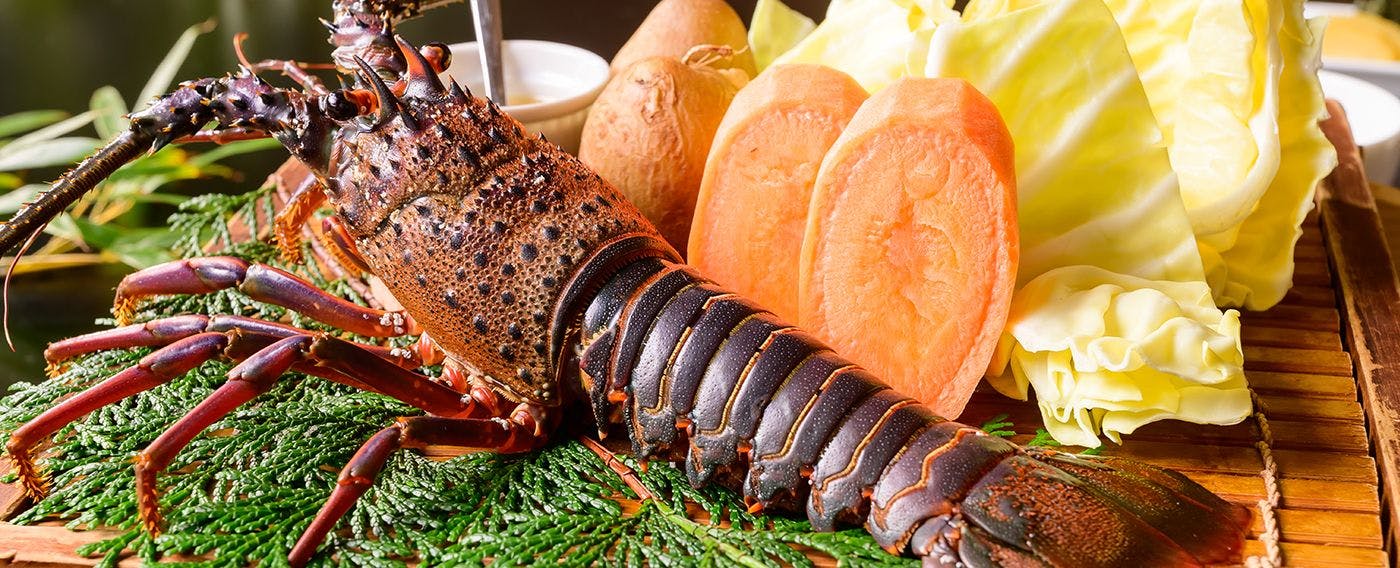 おくとろ温泉 やまのやど 美食を叶える宿 宿泊予約は 一休 Com