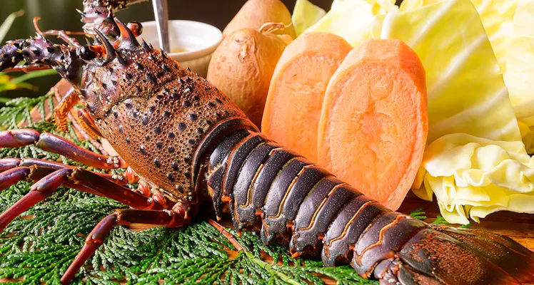 おくとろ温泉 やまのやど 美食を叶える宿 宿泊予約は 一休 Com おくとろ温泉 やまのやど 美食を叶える宿 宿泊予約は 一休 Com