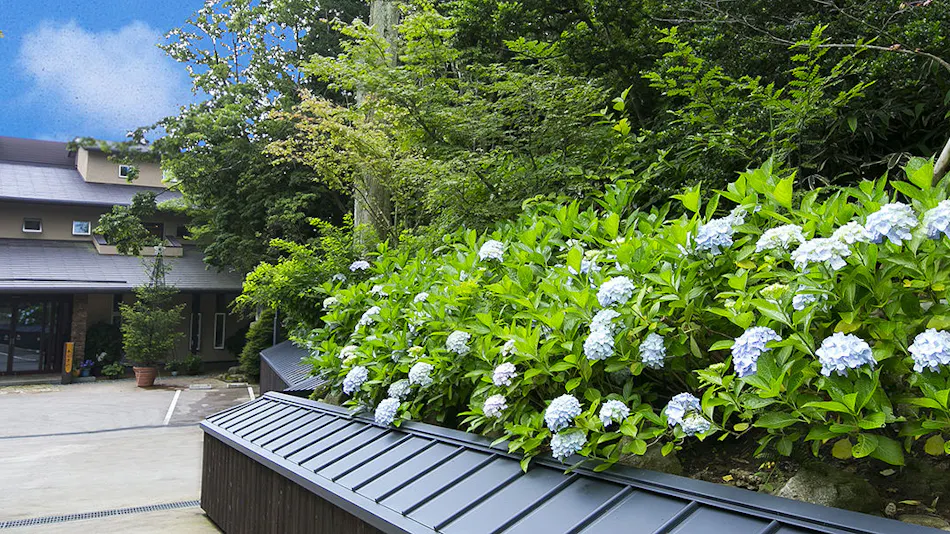 Ocean Terrace Ajisai