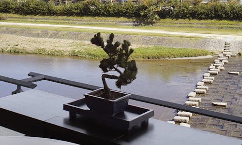 記念日特典付 京都市のネット可 有線 のお部屋 カップル 夫婦におすすめのホテル 旅館 5選 宿泊予約は 一休 Com