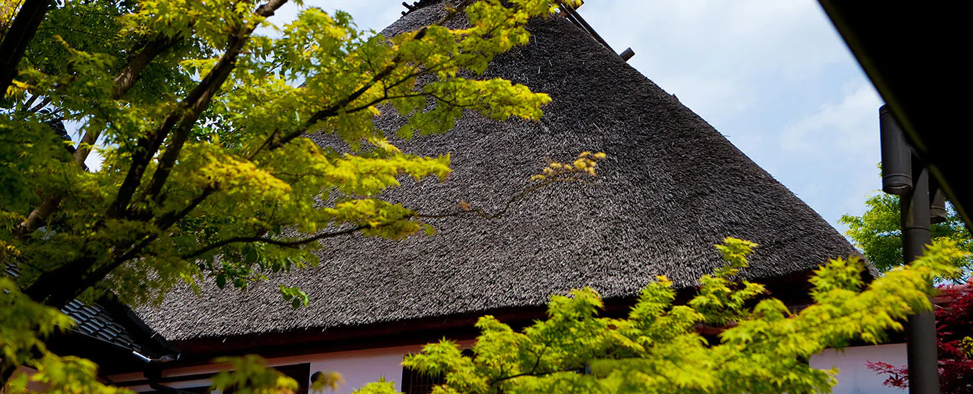 สิ่งอำนวยความสะดวกอื่นๆ