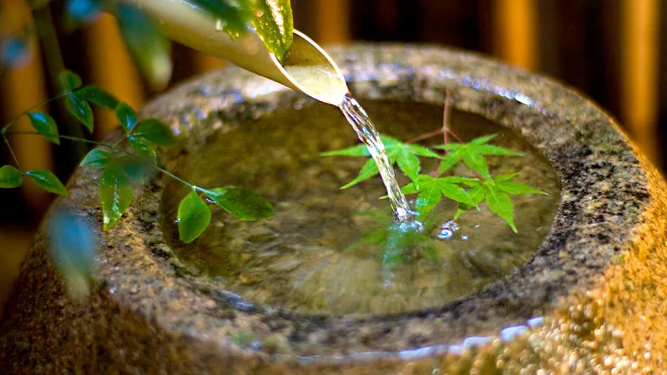 Kanazawa Yuwaku-Onsen Japanese Cuisine Sakaeya
