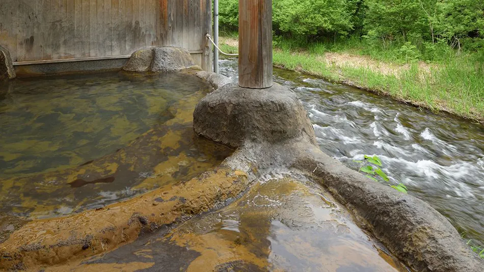Fujisan Ryokan - Annex Nambu Onsen Kokoro no Toki Jusan Gatsu