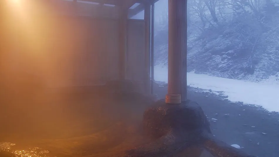 Fujisan Ryokan - Annex Nambu Onsen Kokoro no Toki Jusan Gatsu