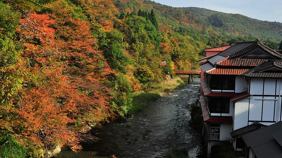 Fujisan Ryokan - Annex Nambu Onsen Kokoro no Toki Jusan Gatsu